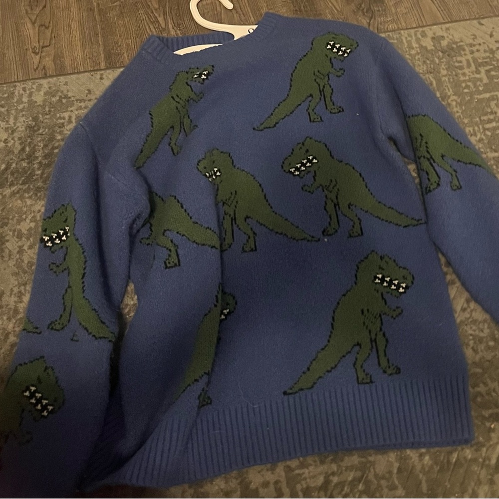 Blue Sweater with Green Dinosaur Print
